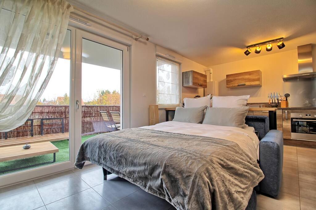 Appartement - Note Boisee - Terrasse & Parking Selestat Ngoại thất bức ảnh