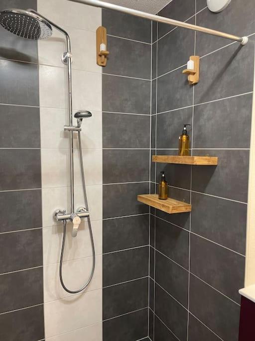 Appartement - Note Boisee - Terrasse & Parking Selestat Ngoại thất bức ảnh