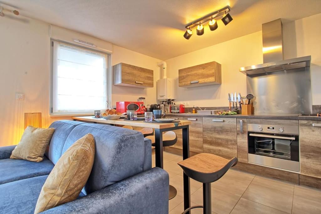 Appartement - Note Boisee - Terrasse & Parking Selestat Ngoại thất bức ảnh