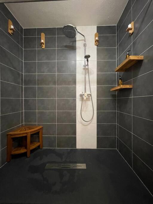 Appartement - Note Boisee - Terrasse & Parking Selestat Ngoại thất bức ảnh